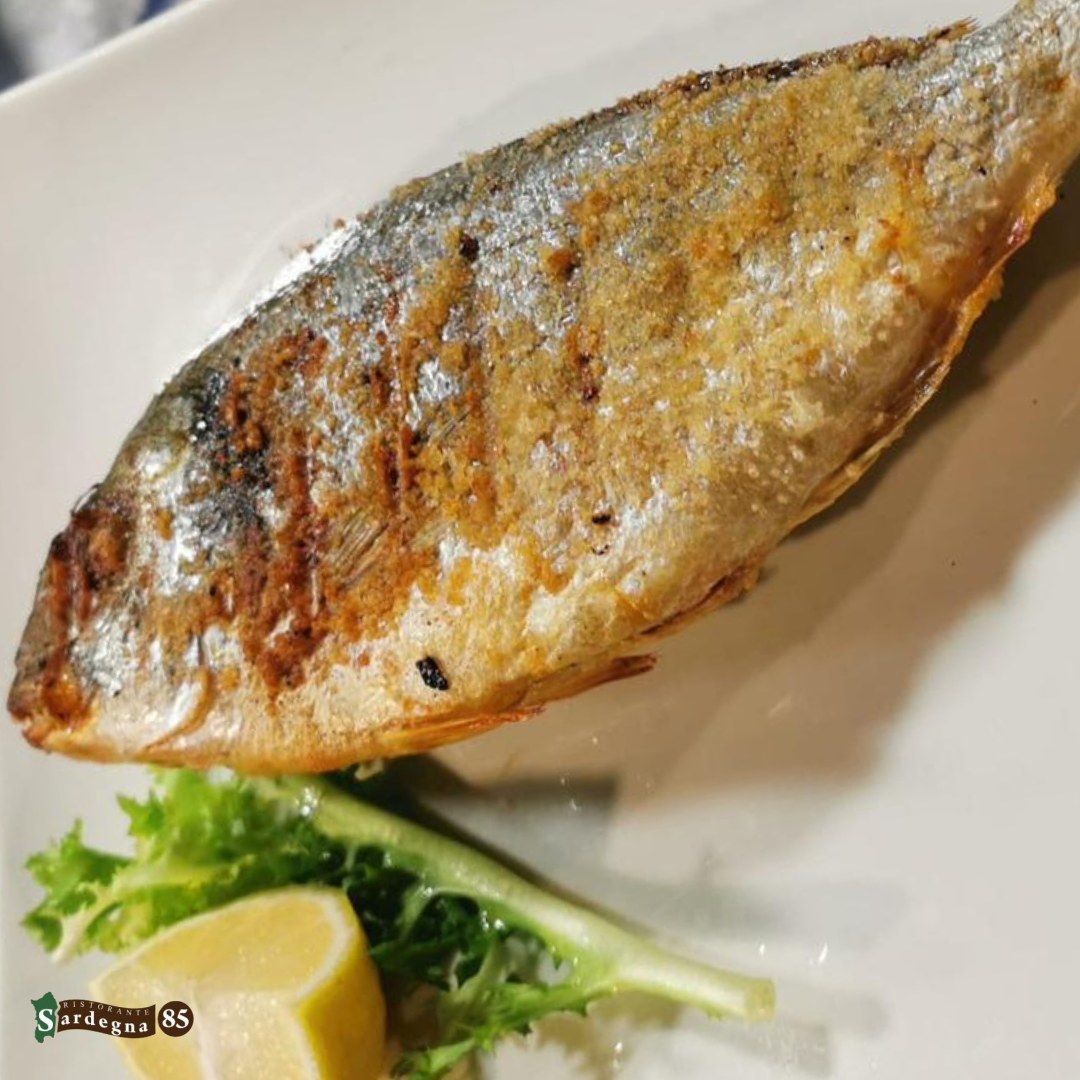 Tra i secondi di @ristorante_sardegna_85 trovate un classico che non delude mai✨

La nostra 𝑶𝒓𝒂𝒕𝒂 𝒂𝒍𝒍𝒂 𝒈𝒓𝒊𝒈𝒍𝒊𝒂, semplice e cotta con attenzione per esaltarne tutto il sapore🐟

Gustatela insieme ad un buon vino per un’indimenticabile serata nel nostro ristorante🍷

Sardegna 85 e il suo staff vi aspettano in

📍Via Sardegna 85, Cagliari
📆Aperto tutti i giorni da lunedì alla domenica 
dalle 12:00 alle 15:00 e 
dalle 19:00 alle 23:00
🚫Chiuso il mercoledì 

☎️Per info e prenotazioni 070 657902
📲Prenotazioni WhatsApp 24h: +39 3275538179
🌐https://ristorantesardegna85.it

#Sardegna85 #Cagliari #CucinaSarda #SaporiAutentici #TradizioneSarda #FoodLovers #GustoSardo #Instafood #Food #FoodExperience #CulturaSarda #Ristorante #RistorantiCagliari #Sardegna #LoveIt #PortoCagliari #Centro #secondi #secondidipesce #orataallagriglia #vino